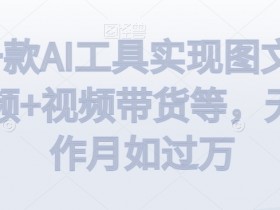 利用一款AI工具实现图文带货+中视频+视频带货等，无脑操作月如过万【揭秘】
