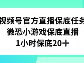 视频号直播任务，微恐小游戏，1小时20+【揭秘】