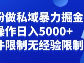 负债粉私域暴力掘金，小白操作入5000，无经验限制，无条件限制【揭秘】