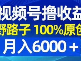 视频号野路子撸收益，100%原创，条条爆款，月入6000＋【揭秘】