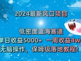 2024最新风口项目，低密度蓝海赛道，单日收益5000+，一周收益4w+！【揭秘】