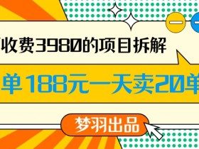 外面收费3980的年前必做项目一单188元一天能卖20单【拆解】