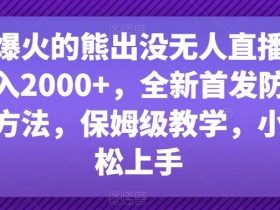 最近爆火的熊出没无人直播，轻松日入2000+，全新首发防版权违规方法【揭秘】