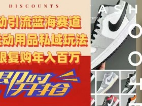 被动引流蓝海赛道，AJ运动用品私域玩法，无限复购年入百万【揭秘】