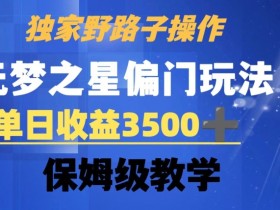 独家野路子玩法，无视机制，元梦之星偏门操作，单日收益3500+，保姆级教学【揭秘】