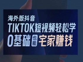 海外版抖音TikTok短视频轻松学，0基础宅家也能赚钱