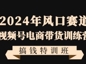 2024年风口赛道视频号电商带货训练营搞钱特训班，带领大家快速入局自媒体电商带货