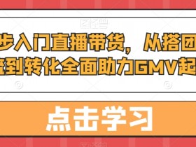 从0起步入门直播带货，​从搭团队到引流到转化全面助力GMV起步