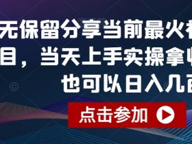 无保留分享当前最火视频号项目，当天上手实操拿收益，你也可以日入几百【揭秘】