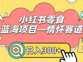 小红书零食蓝海项目—情怀赛道，0门槛，日入300+【揭秘】
