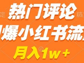 热门评论引爆小红书流量，作品制作简单，商单接到手软【揭秘】