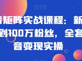 抖音矩阵实战课程：新手从0到100万粉丝，全套抖音变现实操