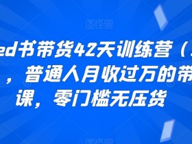 小Red书带货42天训练营（2.0版），普通人月收过万的带货课，零门槛无压货