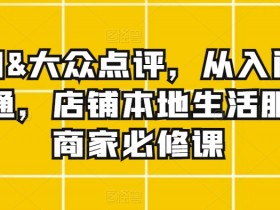 美团&大众点评，从入门到精通，店铺本地生活服务商家必修课