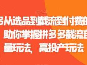 拼多多从选品到截流到付费的玩法技巧，助你掌握拼多多截流自然流量玩法，高投产玩法