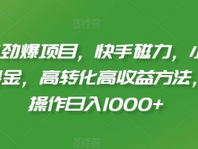 2024劲爆项目，快手磁力，小熊请上车撸金，高转化高收益方法，批量操作日入1000+【揭秘】