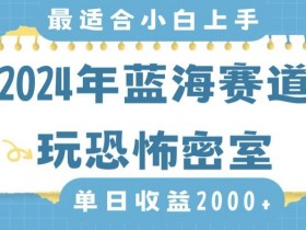 2024年蓝海赛道玩恐怖密室日入2000+，无需露脸，不要担心不会玩游戏，小白直接上手，保姆式教学【揭秘】