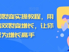 私域拼团裂变实操教程，用户和业绩双裂变增长，让你成为增长高手
