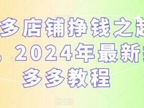 多多店铺挣钱之起店，2024年最新拼多多教程