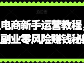 闲鱼电商新手运营教程，闲鱼副业零风险赚钱秘籍
