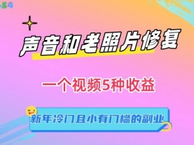 声音和老照片修复，一个视频5种收益，新年冷门且小有门槛的副业【揭秘】