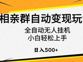 相亲群自动变现玩法，全自动无人挂机，小白轻松上手，日入500+【揭秘】