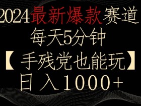 2024最新爆款赛道，每天5分钟，手残党也能玩，轻松日入1000+【揭秘】