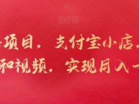 新蓝海项目，支付宝小店，搬运商品和视频，实现月入一万+【揭秘】