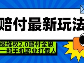 超级维权2.0全新玩法，2024赔付全思路职业打假一部手机搞定【仅揭秘】