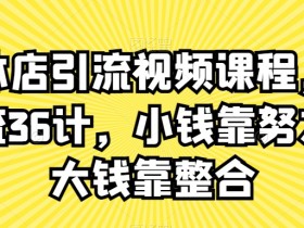实体店引流视频课程，新引流36计，小钱靠努力，大钱靠整合