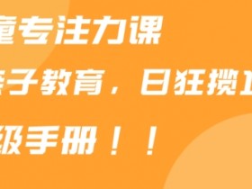 靠儿童专注力课程售卖亲子育儿课程，日暴力狂揽1000+，喂饭手册分享【揭秘】