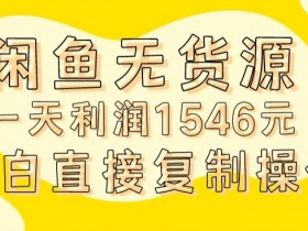 外面收2980的闲鱼无货源玩法实操一天利润1546元0成本入场含全套流程【揭秘】