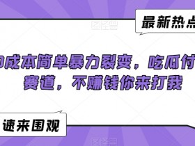 0成本简单暴力裂变，吃瓜付费赛道，不赚钱你来打我【揭秘】