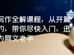 网文写作全解课程，从开篇到签约，带你尽快入门，迅速成为网文老手