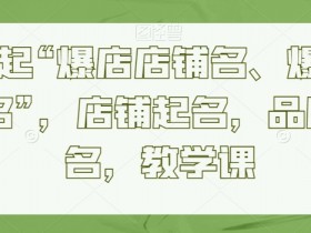 教你起“爆店店铺名、爆品品牌名”，店铺起名，品牌起名，教学课