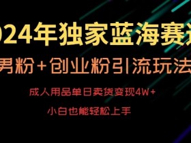 2024年独家蓝海赛道，成人用品单日卖货变现4W+，男粉+创业粉引流玩法，不愁搞不到流量【揭秘】