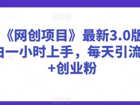抖音《网创项目》最新3.0版本，小白一小时上手，每天引流300+创业粉【揭秘】