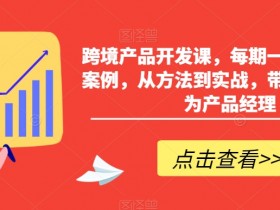 跨境产品开发课，每期一个产品开发案例，从方法到实战，带你一步步成为产品经理