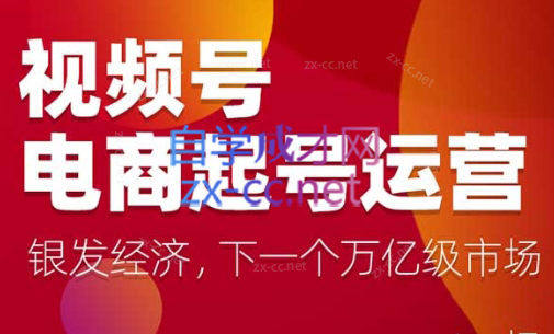 陈大黑牛·视频号电商起号运营课（更新到2024）