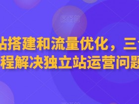 独立站搭建和流量优化，三合一课程解决独立站运营问题