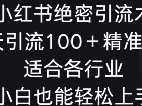 小红书绝密引流术，一天引流100+精准流量，适合各个行业，小白也能轻松上手【揭秘】