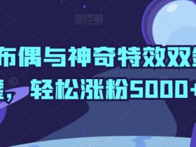 神秘布偶与神奇特效双剑合璧，轻松涨粉5000+【揭秘】