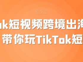 TikTok短视频跨境出海撸美金，带你玩TikTok短视频