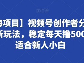 【蓝海项目】视频号创作者分成掘金最新玩法，稳定每天撸500米，适合新人小白【揭秘】