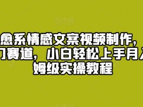 爆火治愈系情感文案视频制作，流量密码，冷门赛道，小白轻松上手月入过万保姆级实操教程【揭秘】