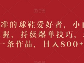 吸引精准的球鞋爱好者，小白也能轻松掌握，持续爆单技巧，5分钟一条作品，日入800+【揭秘】