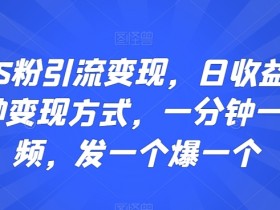 最新S粉引流变现，日收益300+多种变现方式，一分钟一个视频，发一个爆一个【揭秘】