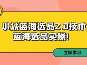 拼多多培训第33期：小众蓝海选品2.0技术-蓝海选品实操！