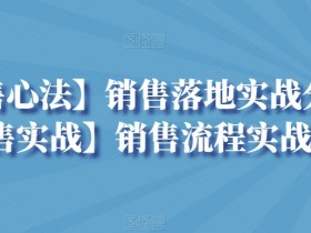 【销售心法】销售落地实战分享+【销售实战】销售流程实战分享