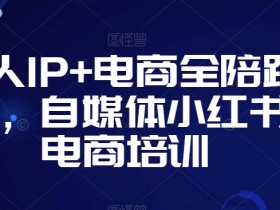 个人IP+电商全陪跑营，自媒体小红书电商培训